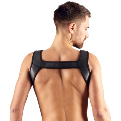 Men's Harness