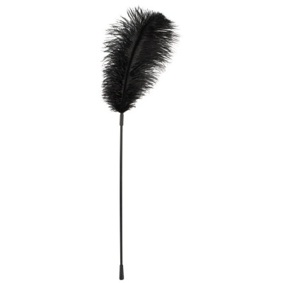 Feather Wand