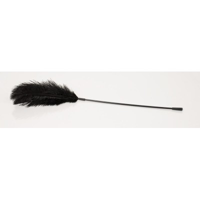 Feather Wand