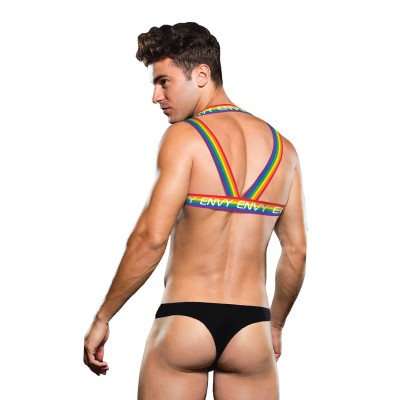 RAINBOW HARNESS