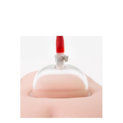 TEMPTASIA VULVA CUP CLEAR