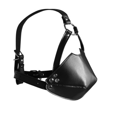 Head Harness with Mouth Cover and Solid