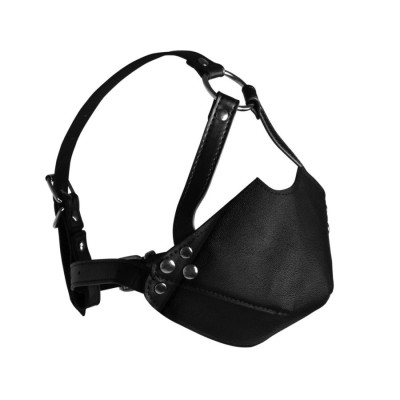 Head Harness with Mouth Cover and Breath