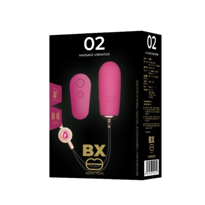 02 MASSAGE VIBRATOR