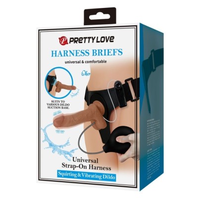 Pretty Love Oher Harness Briefs Pretty Love Oher Harness Briefs