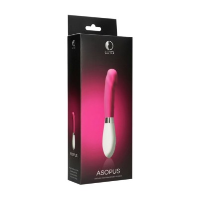 Asopus - Pink Asopus - Pink